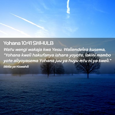 Picture 02 - Yohana 10:41 SWHULB - Watu wengi wakaja kwa Yesu. Waliendelea kusema, - Bible Verse Picture