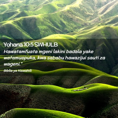 Picture 02 - Yohana 10:5 SWHULB - Hawatamfuata mgeni lakini badala yake - Bible Verse Picture