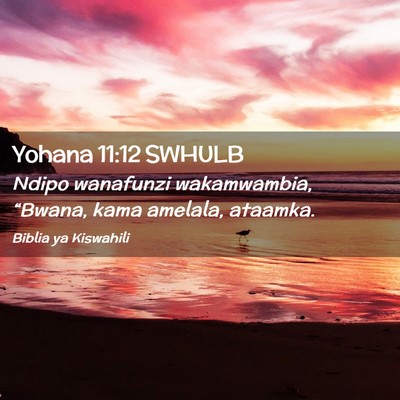 Picture 02 - Yohana 11:12 SWHULB - Ndipo wanafunzi wakamwambia, “Bwana, kama - Bible Verse Picture