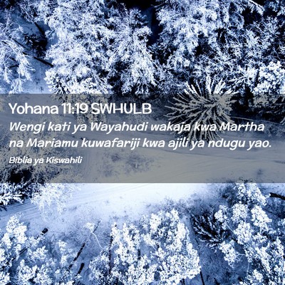 Picture 02 - Yohana 11:19 SWHULB - Wengi kati ya Wayahudi wakaja kwa Martha na - Bible Verse Picture