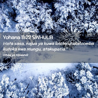 Picture 02 - Yohana 11:22 SWHULB - Hata sasa, najua ya kuwa lolote utakaloomba - Bible Verse Picture