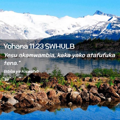 Picture 02 - Yohana 11:23 SWHULB - Yesu akamwambia, kaka yako atafufuka - Bible Verse Picture