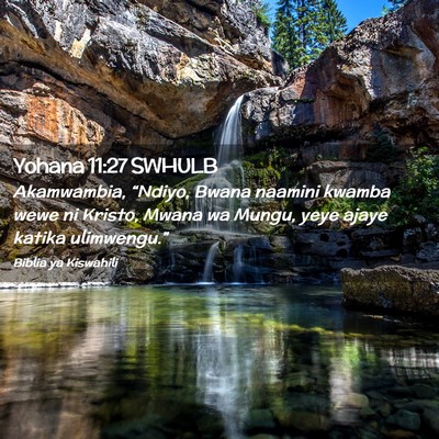 Picture 02 - Yohana 11:27 SWHULB - Akamwambia, “Ndiyo, Bwana naamini kwamba wewe - Bible Verse Picture