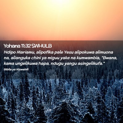 Picture 02 - Yohana 11:32 SWHULB - Ndipo Mariamu, alipofika pale Yesu alipokuwa - Bible Verse Picture