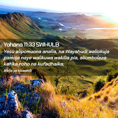 Picture 02 - Yohana 11:33 SWHULB - Yesu alipomuona analia, na Wayahudi waliokuja - Bible Verse Picture