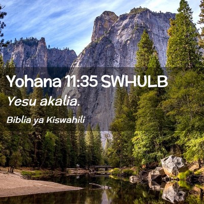 Picture 02 - Yohana 11:35 SWHULB - Yesu - Bible Verse Picture