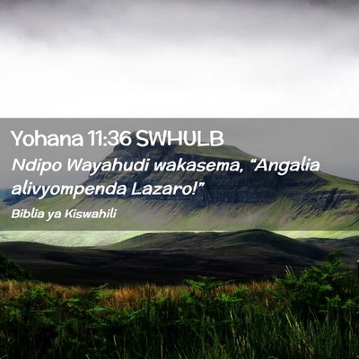Picture 02 - Yohana 11:36 SWHULB - Ndipo Wayahudi wakasema, “Angalia alivyompenda - Bible Verse Picture