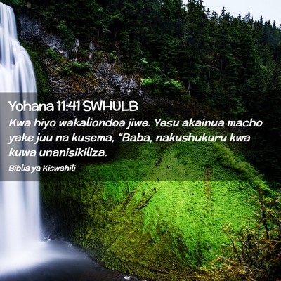 Picture 02 - Yohana 11:41 SWHULB - Kwa hiyo wakaliondoa jiwe. Yesu akainua macho - Bible Verse Picture