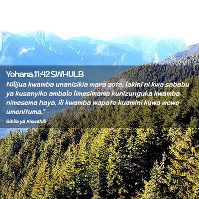 Picture 02 - Yohana 11:42 SWHULB - Nilijua kwamba unanisikia mara zote, lakini ni - Bible Verse Picture