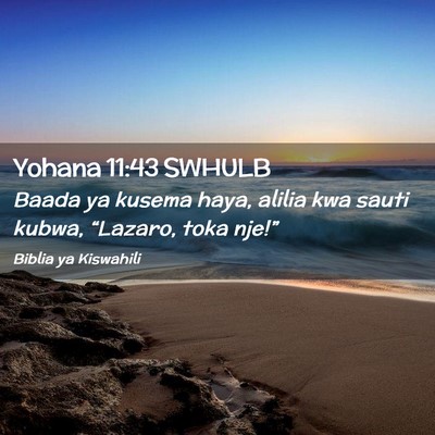 Picture 02 - Yohana 11:43 SWHULB - Baada ya kusema haya, alilia kwa sauti kubwa, - Bible Verse Picture