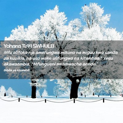 Picture 02 - Yohana 11:44 SWHULB - Mfu alitoka nje amefungwa mikono na miguu kwa - Bible Verse Picture