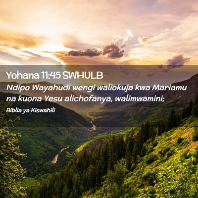 Picture 02 - Yohana 11:45 SWHULB - Ndipo Wayahudi wengi waliokuja kwa Mariamu na - Bible Verse Picture