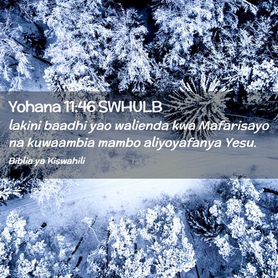 Picture 02 - Yohana 11:46 SWHULB - lakini baadhi yao walienda kwa Mafarisayo na - Bible Verse Picture