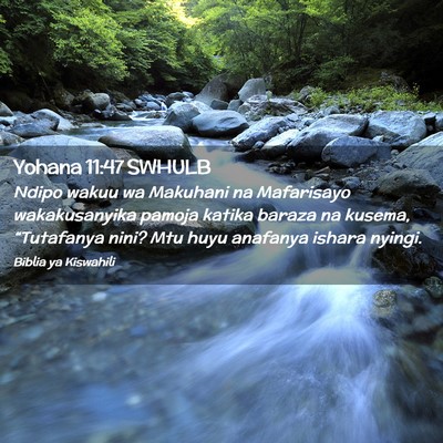 Picture 02 - Yohana 11:47 SWHULB - Ndipo wakuu wa Makuhani na Mafarisayo - Bible Verse Picture