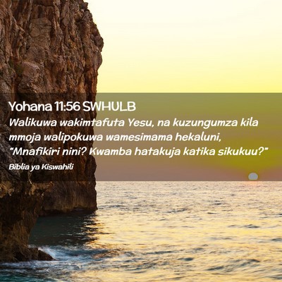 Picture 02 - Yohana 11:56 SWHULB - Walikuwa wakimtafuta Yesu, na kuzungumza kila - Bible Verse Picture