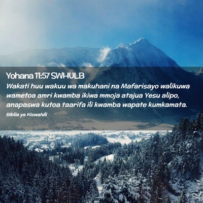 Picture 02 - Yohana 11:57 SWHULB - Wakati huu wakuu wa makuhani na Mafarisayo - Bible Verse Picture