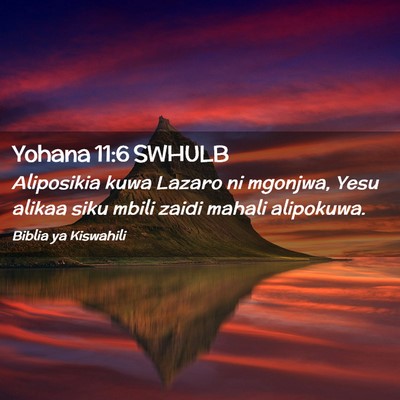 Picture 02 - Yohana 11:6 SWHULB - Aliposikia kuwa Lazaro ni mgonjwa, Yesu alikaa - Bible Verse Picture