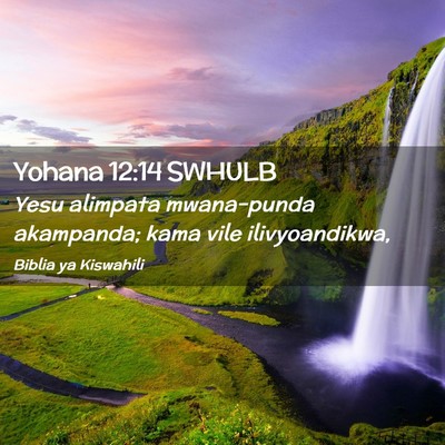 Picture 02 - Yohana 12:14 SWHULB - Yesu alimpata mwana-punda akampanda; kama vile - Bible Verse Picture