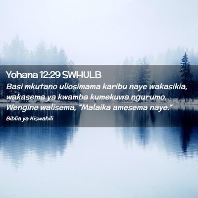 Picture 02 - Yohana 12:29 SWHULB - Basi mkutano uliosimama karibu naye wakasikia, - Bible Verse Picture