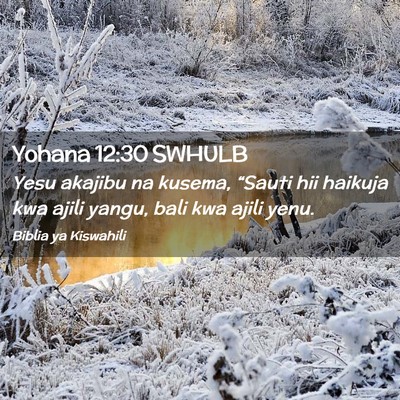 Picture 02 - Yohana 12:30 SWHULB - Yesu akajibu na kusema, “Sauti hii haikuja kwa - Bible Verse Picture
