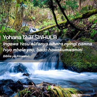 Picture 02 - Yohana 12:37 SWHULB - Ingawa Yesu alifanya ishara nyingi namna hiyo - Bible Verse Picture