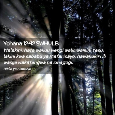 Picture 02 - Yohana 12:42 SWHULB - Walakini, hata wakuu wengi walimwamini Yesu; - Bible Verse Picture