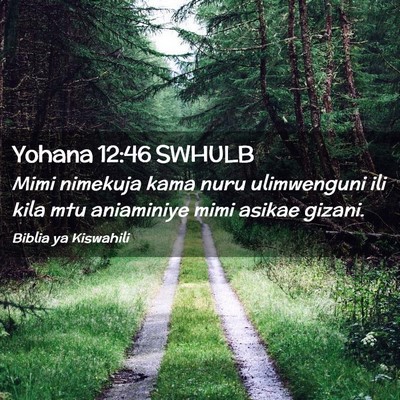Picture 02 - Yohana 12:46 SWHULB - Mimi nimekuja kama nuru ulimwenguni ili kila mtu - Bible Verse Picture