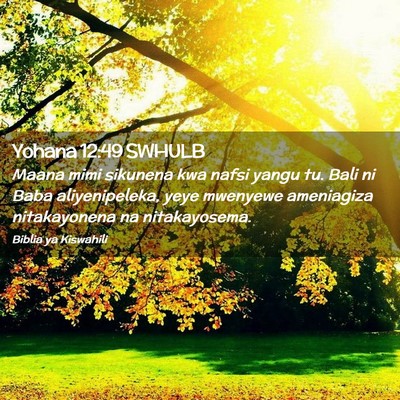 Picture 02 - Yohana 12:49 SWHULB - Maana mimi sikunena kwa nafsi yangu tu. Bali ni - Bible Verse Picture