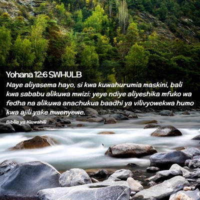 Picture 02 - Yohana 12:6 SWHULB - Naye aliyasema hayo, si kwa kuwahurumia maskini, - Bible Verse Picture