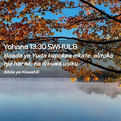 Picture 02 - Yohana 13:30 SWHULB - Baada ya Yuda kupokea mkate, alitoka nje harak; - Bible Verse Picture