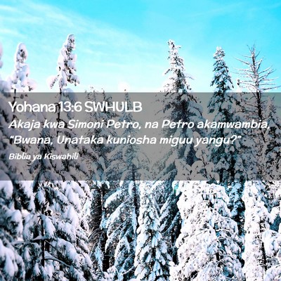 Picture 02 - Yohana 13:6 SWHULB - Akaja kwa Simoni Petro, na Petro akamwambia, - Bible Verse Picture