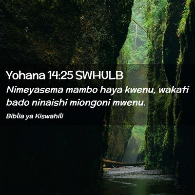 Picture 02 - Yohana 14:25 SWHULB - Nimeyasema mambo haya kwenu, wakati bado ninaishi - Bible Verse Picture