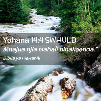 Picture 02 - Yohana 14:4 SWHULB - Mnajua njia mahali - Bible Verse Picture