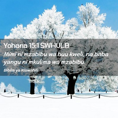 Picture 02 - Yohana 15:1 SWHULB - Mimi ni mzabibu wa huu kweli, na baba yangu ni - Bible Verse Picture
