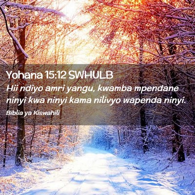 Picture 02 - Yohana 15:12 SWHULB - Hii ndiyo amri yangu, kwamba mpendane ninyi kwa - Bible Verse Picture