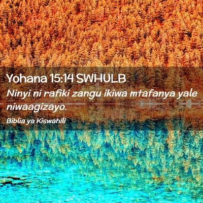 Picture 02 - Yohana 15:14 SWHULB - Ninyi ni rafiki zangu ikiwa mtafanya yale - Bible Verse Picture