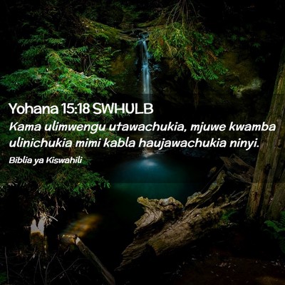 Picture 02 - Yohana 15:18 SWHULB - Kama ulimwengu utawachukia, mjuwe kwamba - Bible Verse Picture