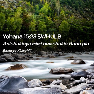 Picture 02 - Yohana 15:23 SWHULB - Anichukiaye mimi humchukia Baba - Bible Verse Picture