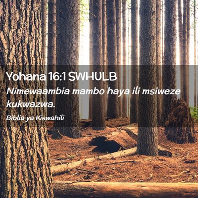 Picture 02 - Yohana 16:1 SWHULB - Nimewaambia mambo haya ili msiweze - Bible Verse Picture