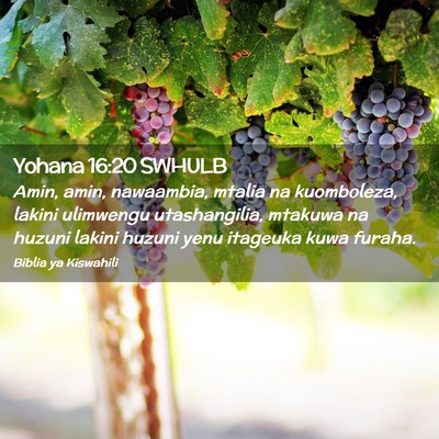 Picture 02 - Yohana 16:20 SWHULB - Amin, amin, nawaambia, mtalia na kuomboleza, - Bible Verse Picture