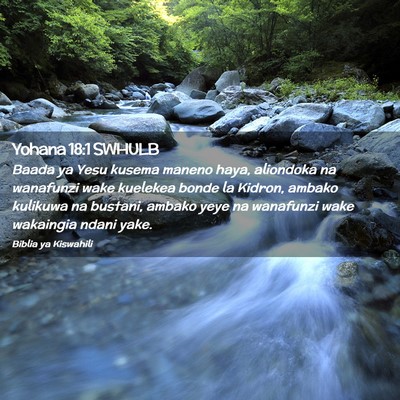 Picture 02 - Yohana 18:1 SWHULB - Baada ya Yesu kusema maneno haya, aliondoka na - Bible Verse Picture
