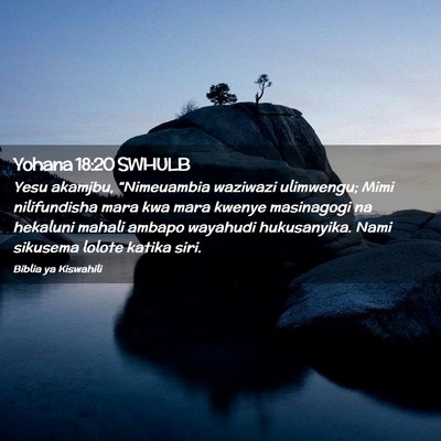 Picture 02 - Yohana 18:20 SWHULB - Yesu akamjbu, “Nimeuambia waziwazi ulimwengu; - Bible Verse Picture