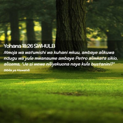 Picture 02 - Yohana 18:26 SWHULB - Mmoja wa watumishi wa kuhani mkuu, ambaye alikuwa - Bible Verse Picture