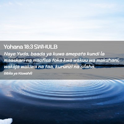 Picture 02 - Yohana 18:3 SWHULB - Naye Yuda, baada ya kuwa amepata kundi la - Bible Verse Picture