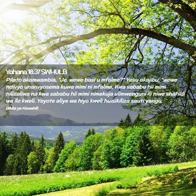 Picture 02 - Yohana 18:37 SWHULB - Pilato akamwambia, “Je, wewe basi u mfalme?” - Bible Verse Picture