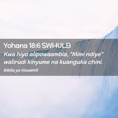 Picture 02 - Yohana 18:6 SWHULB - Kwa hiyo alipowaambia, “Mimi ndiye” walirudi - Bible Verse Picture