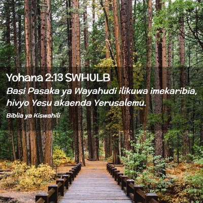 Picture 02 - Yohana 2:13 SWHULB - Basi Pasaka ya Wayahudi ilikuwa imekaribia, hivyo - Bible Verse Picture