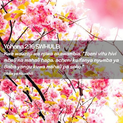 Picture 02 - Yohana 2:16 SWHULB - Kwa wauzaji wa njiwa akawambia, “Toeni vitu - Bible Verse Picture