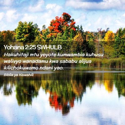 Picture 02 - Yohana 2:25 SWHULB - Hakuhitaji mtu yeyote kumwambia kuhusu walivyo - Bible Verse Picture