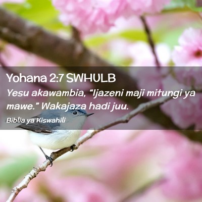 Picture 02 - Yohana 2:7 SWHULB - Yesu akawambia, “Ijazeni maji mitungi ya - Bible Verse Picture
